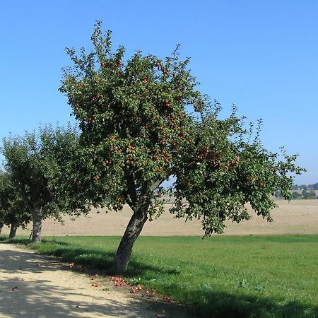 Fewo Muehlehof Konigshain Kültér fotó
